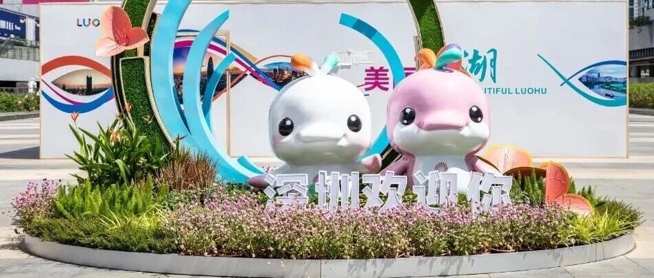 是“大灣雞”魔法，還是“數字及廣告標識”行業新秘籍？